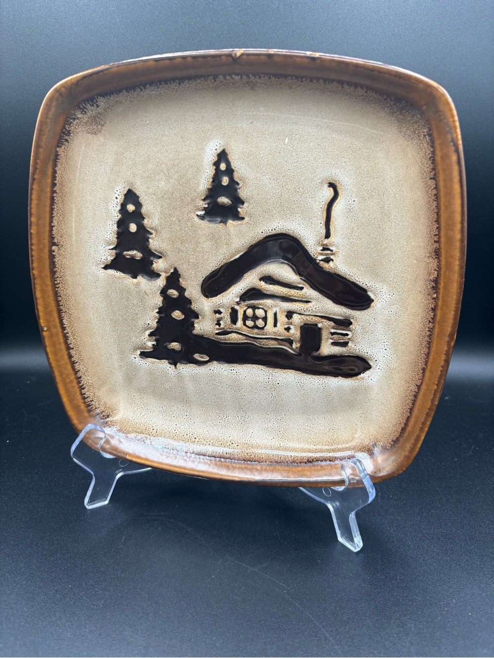 Homestudio "Woodland" 9 Inch Square Salad Plate - Mint Condition